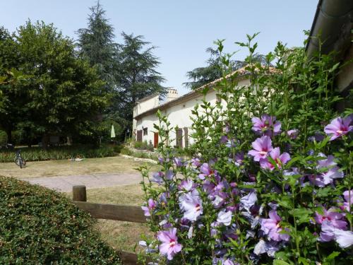Beauville Maison | Villa Luxe avec Spa, Piscine Chauffée & Salle de Sport à Beauville