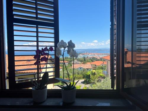 Izola Appartement | Villa Maris Izola