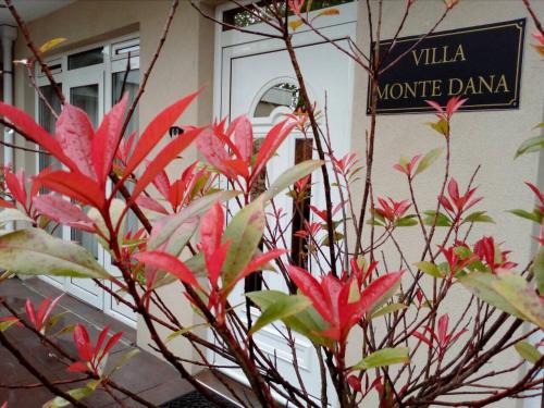 Zwanenburg Appartement | Villa Monte Dana