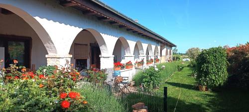 Balatonfokajar Appartement | Villa Negra vendégház