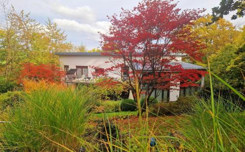 Frankenberg Maison | Villa Ralf