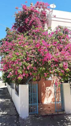 Perdhika Appartement | Villa Rodanthos