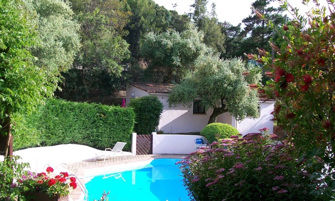 Eccica-Suarella Villa | VILLA SOUS LES OLIVIERS