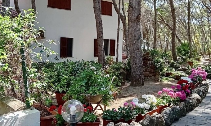 Porto Pino Villa | Maison avec accès direct à la mer - Porto Pino