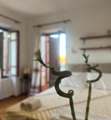 Egira Maison | Village House