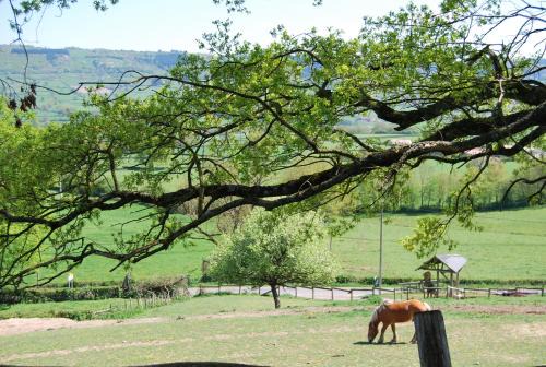 Montagny-sur-Grosne Maison | Village.insolite