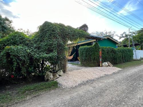 Cabuya Maison | Villas Casa Paz