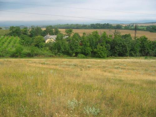 Kiralyszentistvan Maison | Vincellér Vendégház