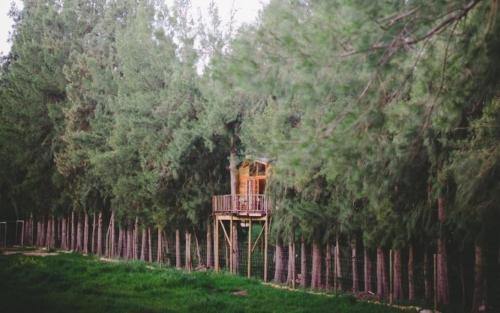 Tulbagh Maison | Vindoux Tree House Guest Farm & Spa