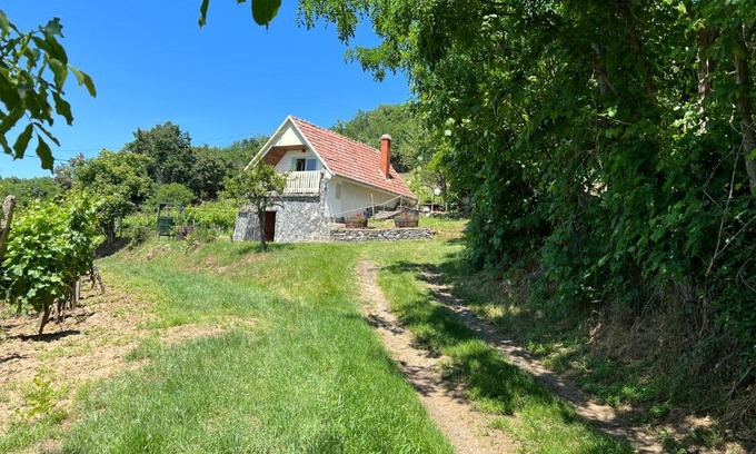 Kaptalantoti Appartement | Vine Cottage