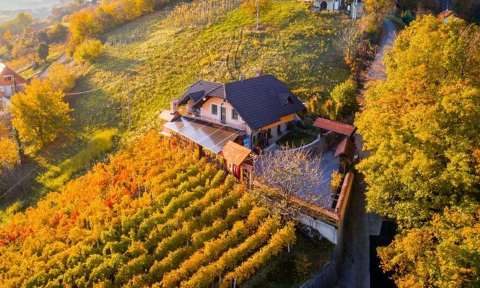 Gorenja Vas pri Smarjeti Maison | Vineyard Cottage Bregač, Šmarješke Toplice, Slovenia