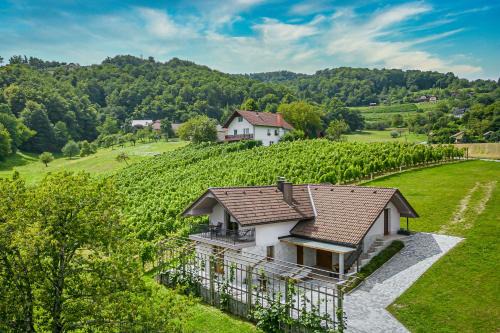 Gorenja Vas pri Smarjeti Maison | Vineyard Cottage Radovlja With Sauna - Happy Rentals