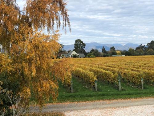 Renwick Cabine | Vineyard Cottage in Blenheim on the Golden Mile