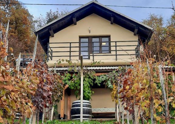 Dolenjske Toplice Appartement | Vineyard cottage Kulovec