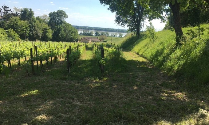 Bourg-sur-Gironde Maison | maison des vignes , en bordure d'estuaire