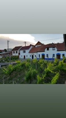 Boretice Maison | Vinný sklípek s ubytováním