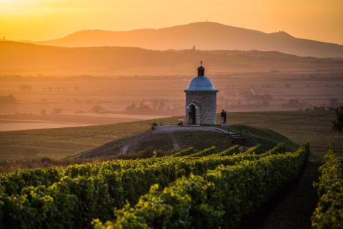 Velke Bilovice Maison | Vinoza - ubytování a vinný sklep Velké Bílovice Rulandová