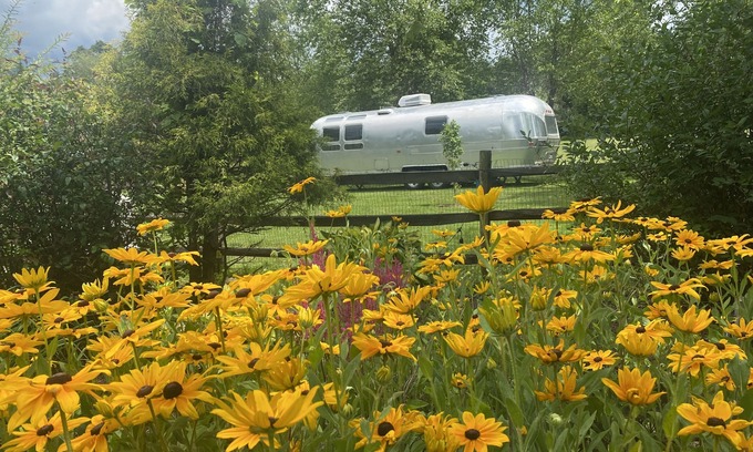 Baptistown Maison | Vintage Airstream “Lost inn Lavender”