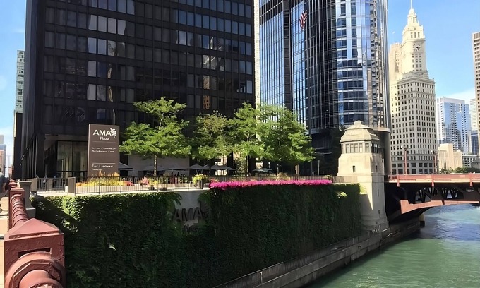 Downtown Chicago Station Balnéaire | Visit Chicago! 4 Modern Units near 360 Chicago and Oak Street Beach! Parking!