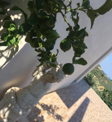 Vasto Appartement | Vista Vasto