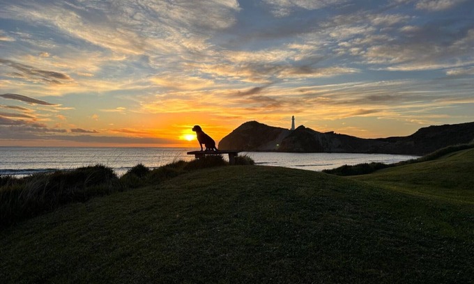 Castlepoint Maison | Waiwhare On The Beach (beachfront property with direct beach access)