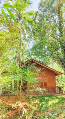 Udawalawa Maison | Walawa Dreams Safari Resort