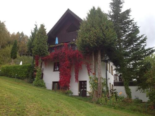 Tannenberg Appartement | Waldblick