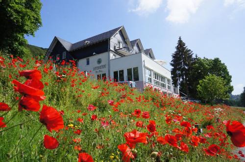Olsberg Hôtel | Waldhotel Schinkenwirt