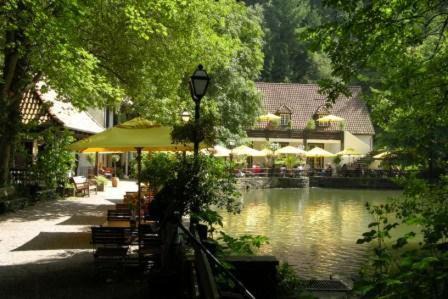 Leopoldstal Hôtel | Waldhotel Silbermühle