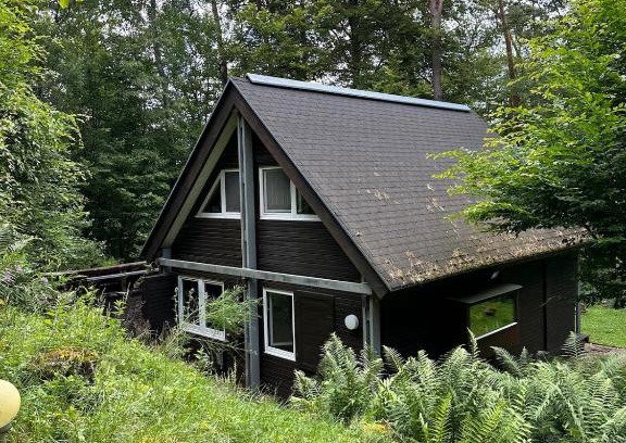 Elmstein Maison | Waldparadies mit allem was Sie brauchen
