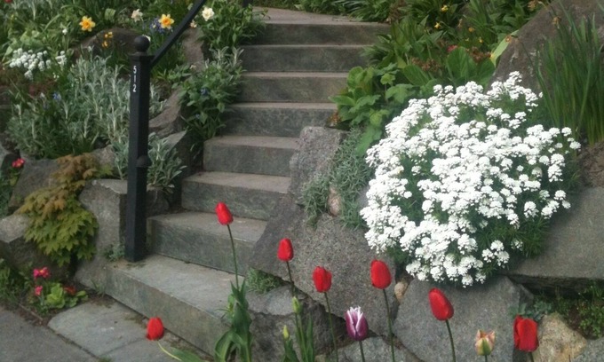 Central District Maison | Walk to the lake from your Classic Seattle Craftsman!