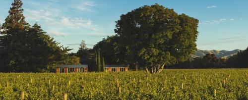 Springlands Maison | Walnut Block Cottages