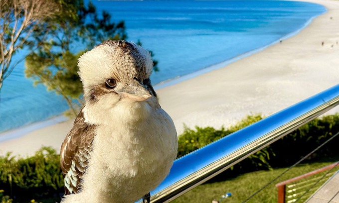 Hyams Beach Appartement | Walters Holiday Flats @ Hyams Beach (Flat 3) - Book 7 nights pay for only 6*
