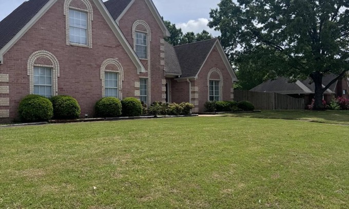 Olive Branch Maison | Warmth & Charming, Cozy 4BR Brick Home with Private POOL in Olive Branch,