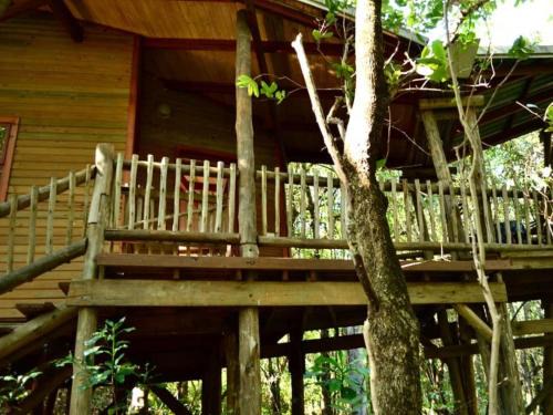 Tzaneen Appartement | Waterbessiebos cottage