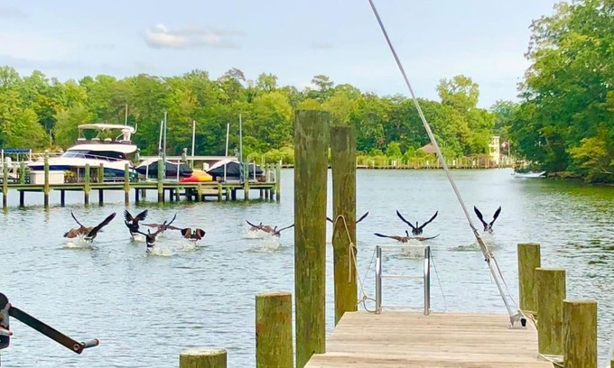 Weems Maison | Waterfront Home With Boat Dock & Study