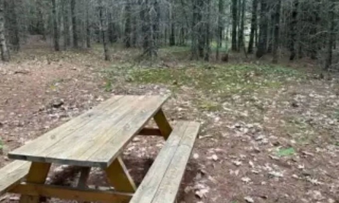 Limerick Cabine | Watersrock Woods Camp Site 2