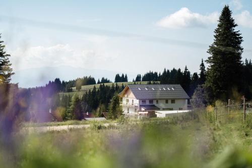 Frantschach-Sankt Gertraud Appartement | Weinebene Apart