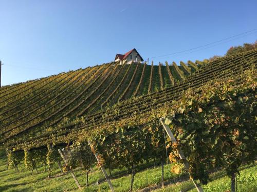Glanz an der Weinstrasse Maison | Weingartenhaus