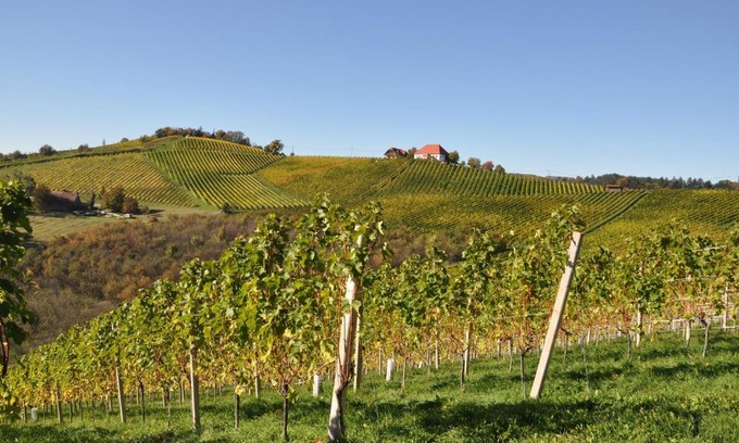 Ehrenhausen an der Weinstraße Lit Et Petit-Déjeuner | Weingut Kögl