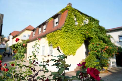 Erlabrunn Maison | Weingut Martin Blass