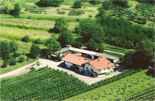 Herbolzheim Appartement | Weingut Ringwald