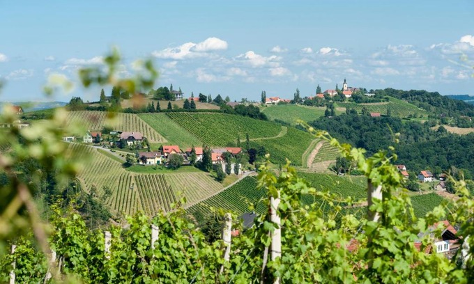 Kitzeck im Sausal Maison | Weingut Schauer