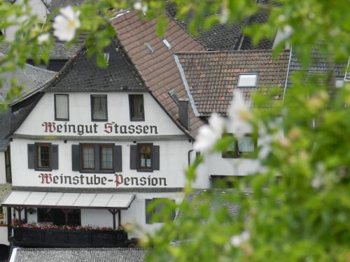 Mainz-Bingen Hôtel | Weingut Stassen