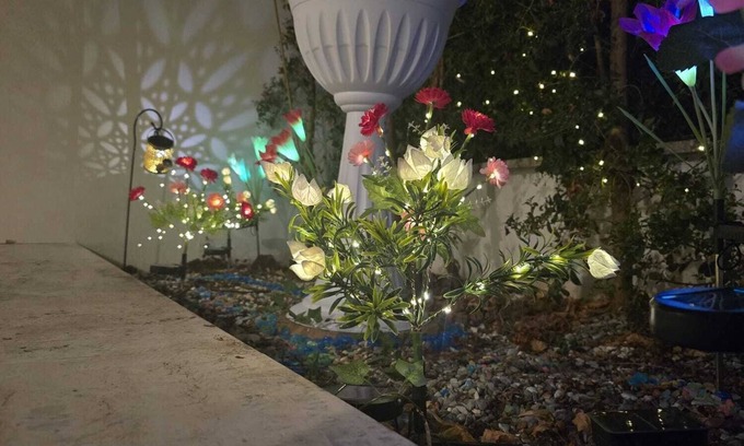Zona XXXIV Casal Palocco Appartement | WELCOME LOVE ROME - apartment surrounded by greenery