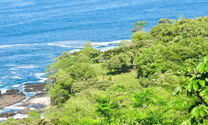 Samara Maison | Welcome to Imagina where you will find yourself nestled between jungle and ocean