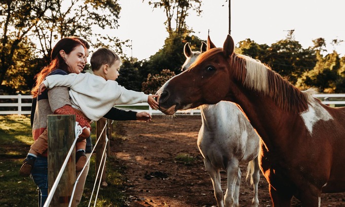 Springtown Autre | Welcome to our quiet 8 acre horse farm/Rescue in Hellertown Pennsylvania!