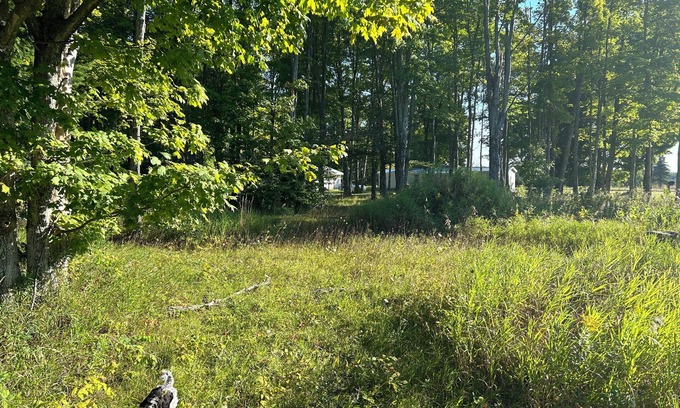 McMillan Location De VR | Welcoming campsites in heart of the UP