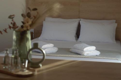 Volos City Centre Appartement | Welina guesthouse