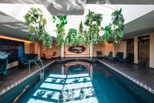 Waengle Appartement | Wellness Aparthotel "Lechlife" incl Pool - 400m zum LIFT